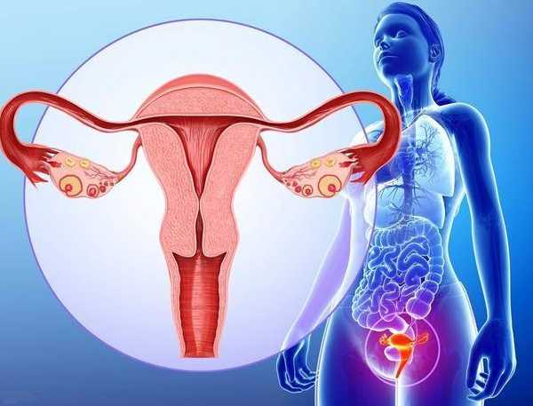 助孕服务都有哪些内容,如何调理卵巢早衰助孕？