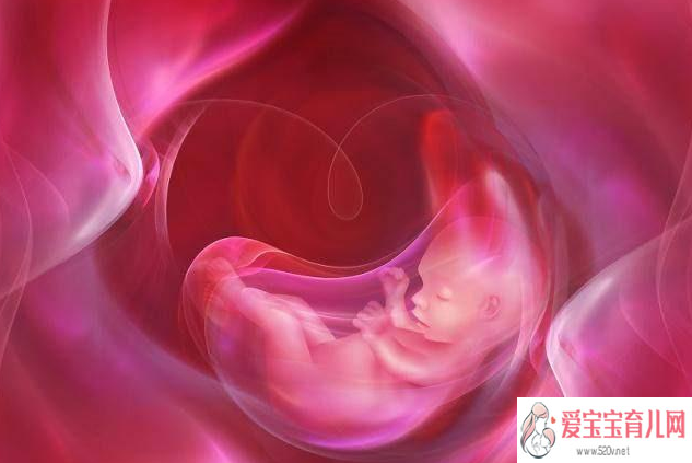 山大供卵排队_供卵需要具备什么条件_北京试管婴儿医院胚胎移植后怎么保胎